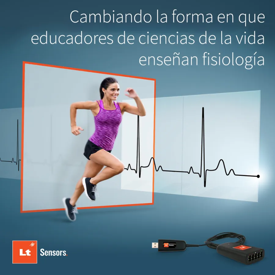 2024 ES Sensores 